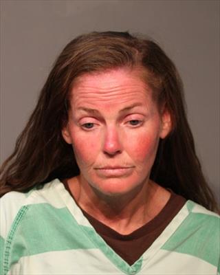 Booking photo of Lisa Nicole Anderson