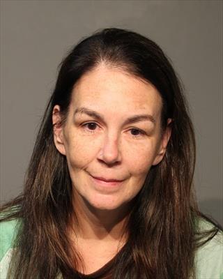 Booking photo of Lisa Marie Comstock
