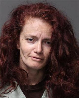 Booking photo of Colleen Renee Wilks