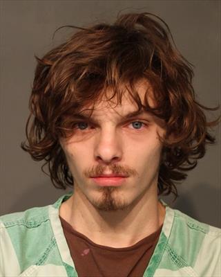 Booking photo of Logan Allen Lynch