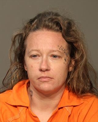 Booking photo of Patrice Kay Brisbin