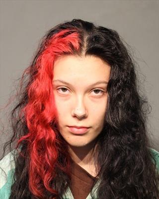 Booking photo of Ava Loreen Schlepphorst