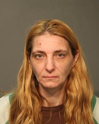 Booking photo of Donna Marie Janssen