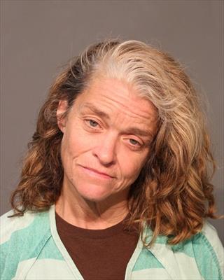 Booking photo of Susan Renee Romine