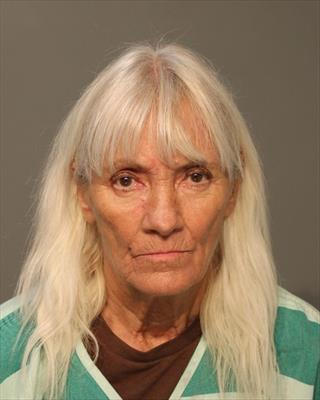 Booking photo of Lori Ann Leeper