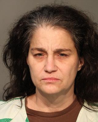 Booking photo of Terra Marie Anderson