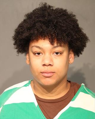 Booking photo of Daisha Nicole Love