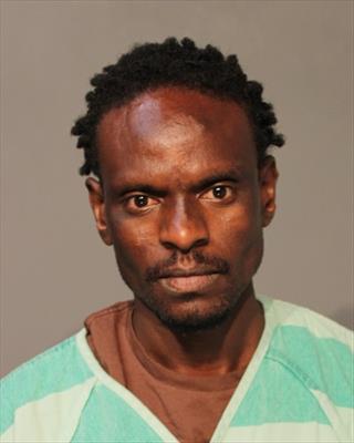 Booking photo of Muse Ali Michaele