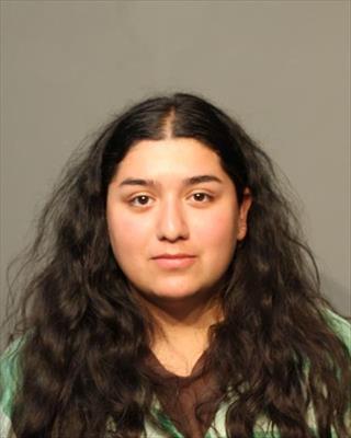 Booking photo of Joscelyn Elena Gallegos