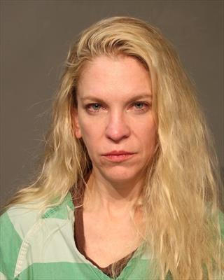 Sarah Lynn Anderson booking photo