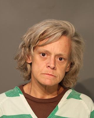 Booking photo of Jamie Michelle Dipple