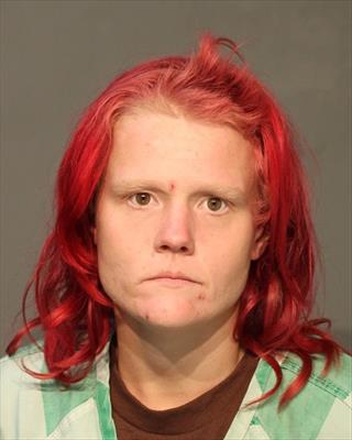 Booking photo of Lisa Dianne Byrkett