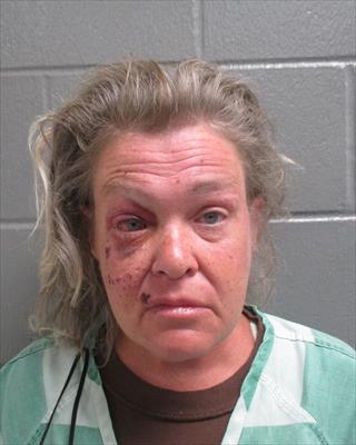 Booking photo of Patricia Joy Preston