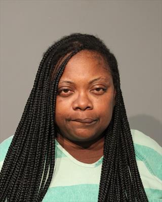 Jabreea Ann Wilder booking photo
