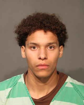 Booking photo of Michean Michael Maynard