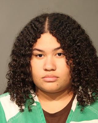 Daja Ann Lavonne Lester Clark booking photo