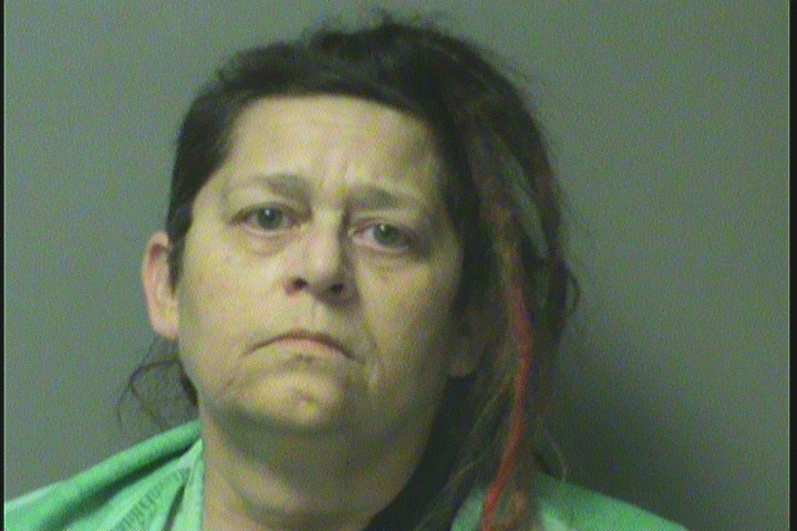 Booking photo of Carol Ann Harrier