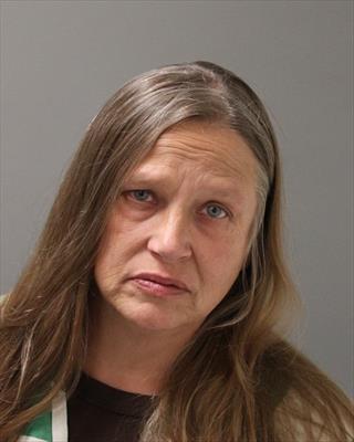 Booking photo of Christina Elaine Dunagan