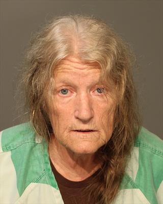 Tammy Sue Mcwilliams booking photo