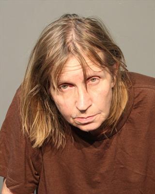 Booking photo of Dianna Lynn Gardner