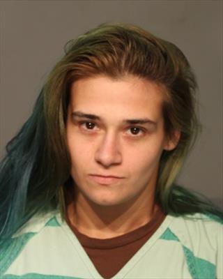Booking photo of Emily Ann Offt