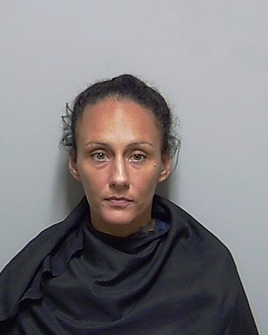Booking photo of Dianna King