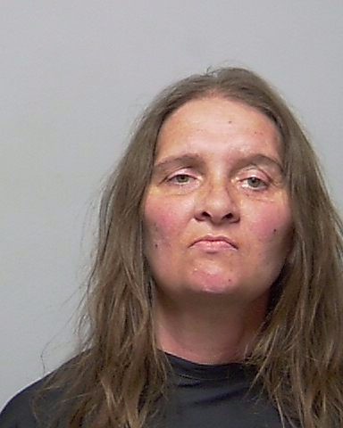 Booking photo of Angela Mcilvaine