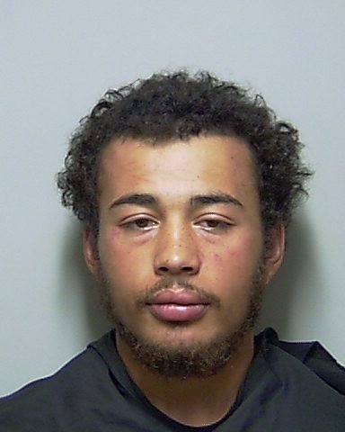 Booking photo of Trenton Rose