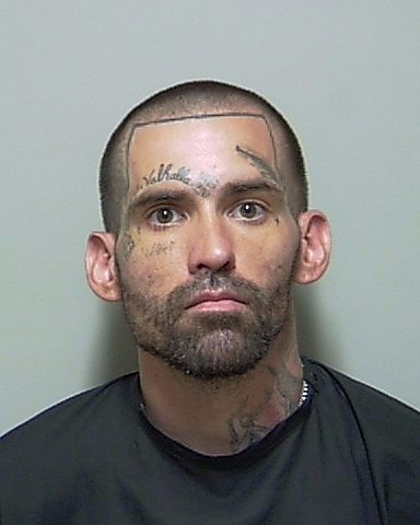 Booking photo of Robert Liebl Lanigan