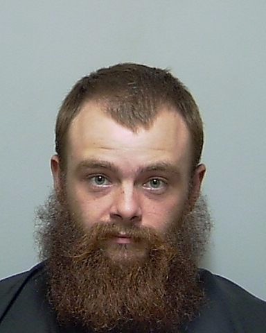 Booking photo of David Flynn