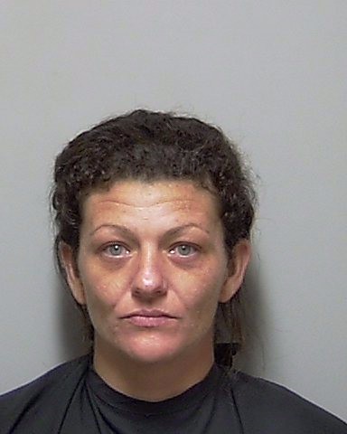 Booking photo of Amanda Burkes