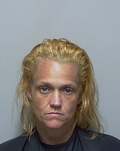 Booking photo of Kristin Gravitz