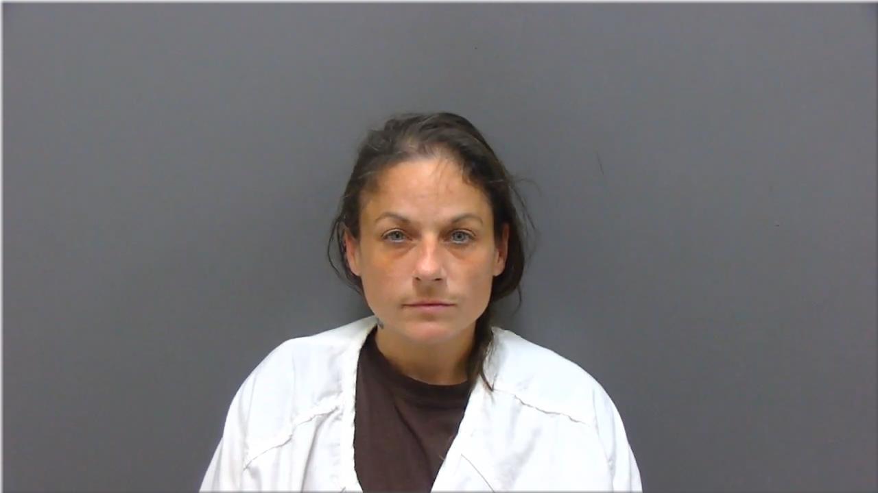 Booking photo of Brittany Davis