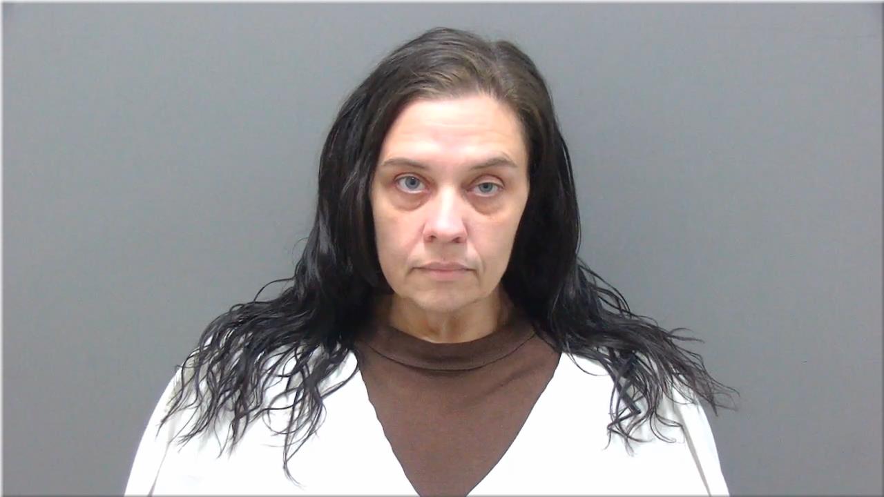 Booking photo of Sara Allyn