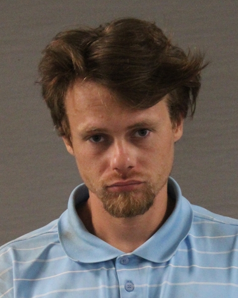 Booking photo of Dylon Hudson King