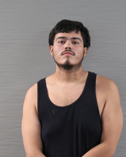 Booking photo of Alvin Molina-rocha