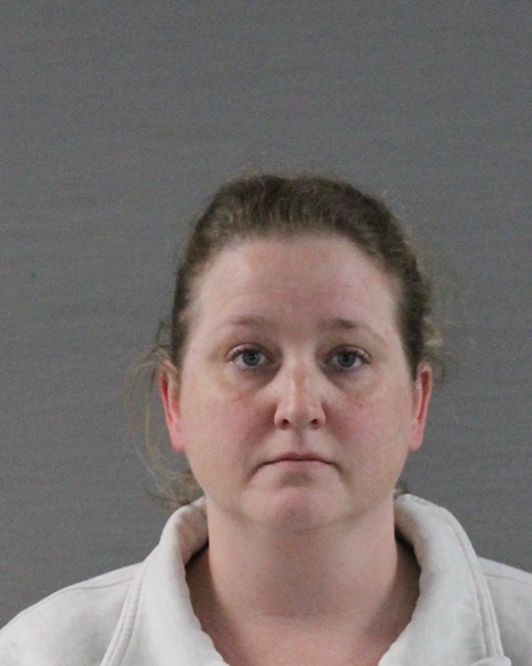 Booking photo of Malarie Beth Larson