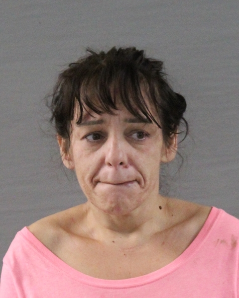 Booking photo of Irene Hernandez