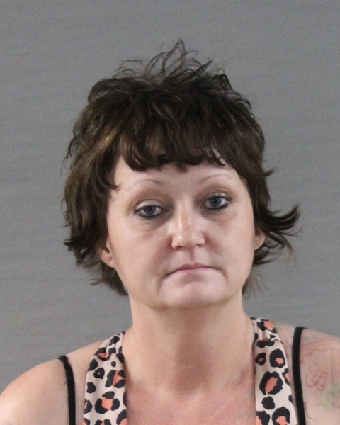Booking photo of Melissa Ann Haddix