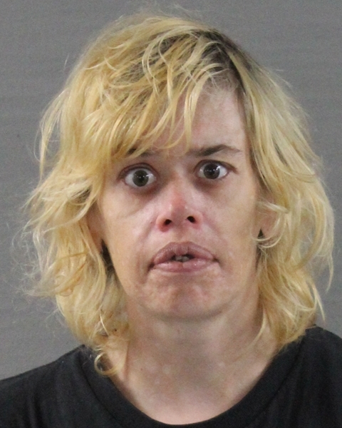 Booking photo of Amy Lynn Gober