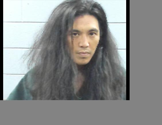 Booking photo of Tam Tran