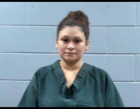 Booking photo of Wendy Purvis
