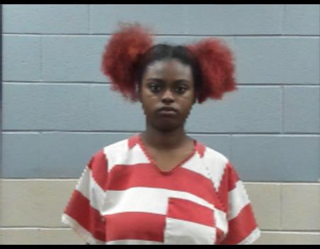 Nizeria Sims booking photo