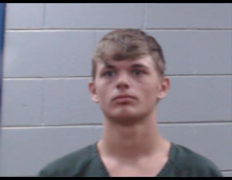 Booking photo of Bailey Walker