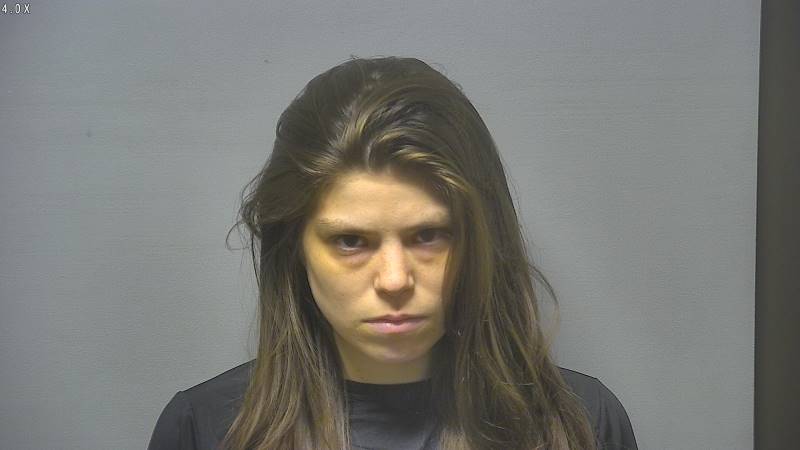 Booking photo of Danielle Tafel