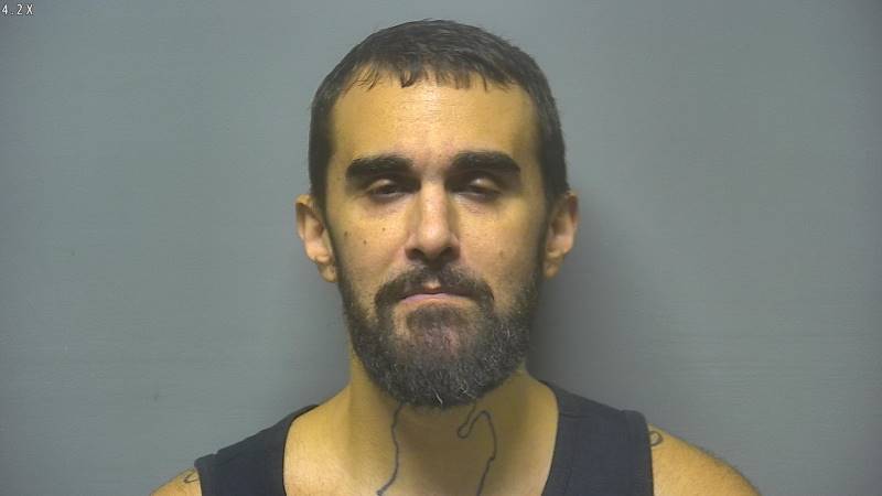 Booking photo of Ryan Gibbons