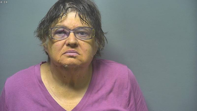 Booking photo of Lois Faubert