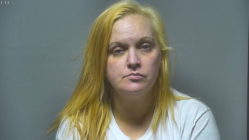 Booking photo of Christina Mcfee