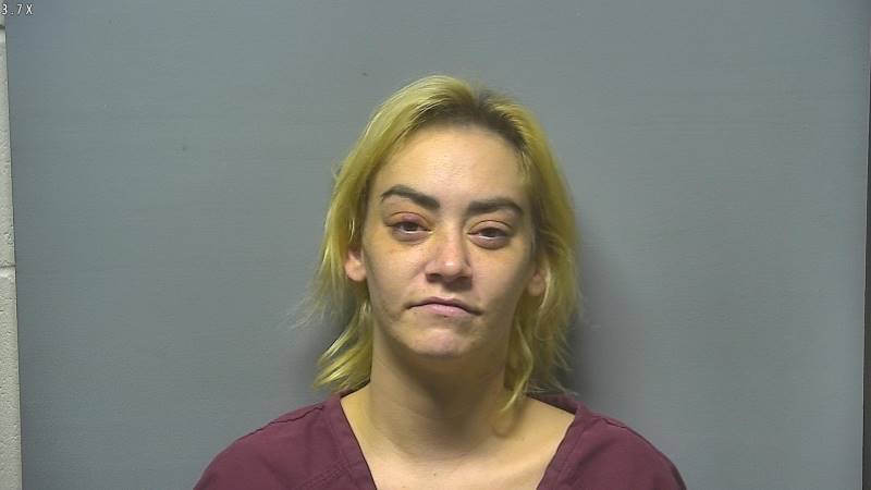 Booking photo of Abby Faubert