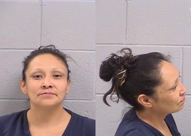 Booking photo of Lanetta Smith
